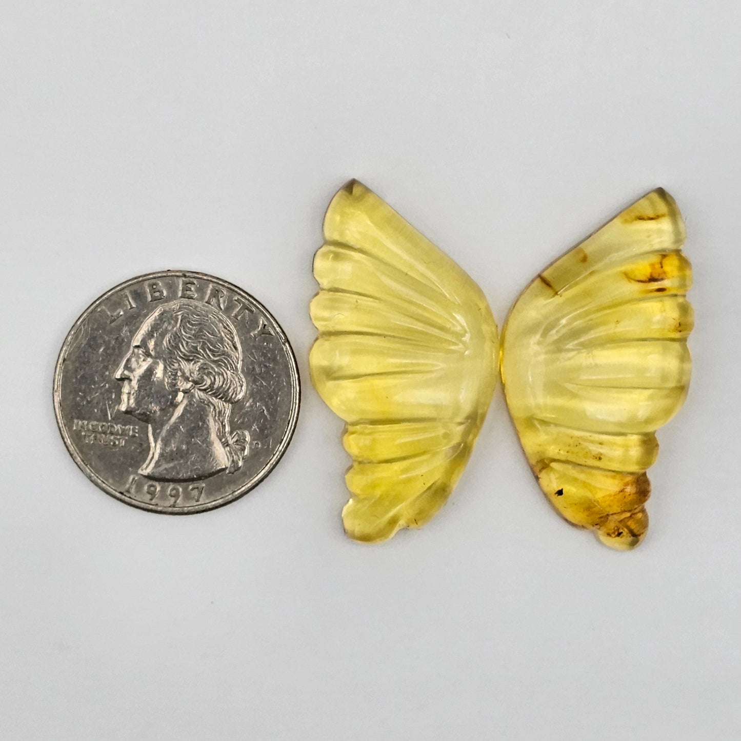 Amber authentic wings cabochon large