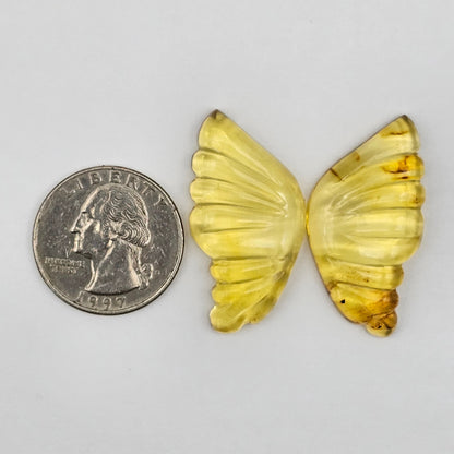 Amber authentic wings cabochon large