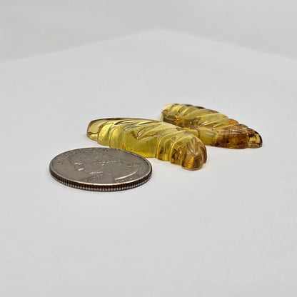 Amber authentic wings cabochon large