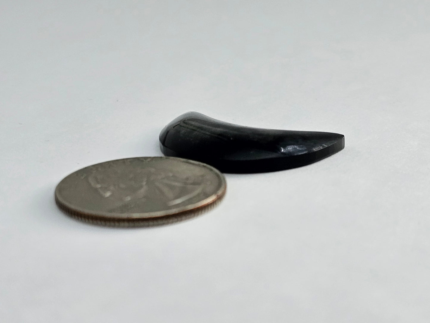 Silver Obsidian Moon Cabochon