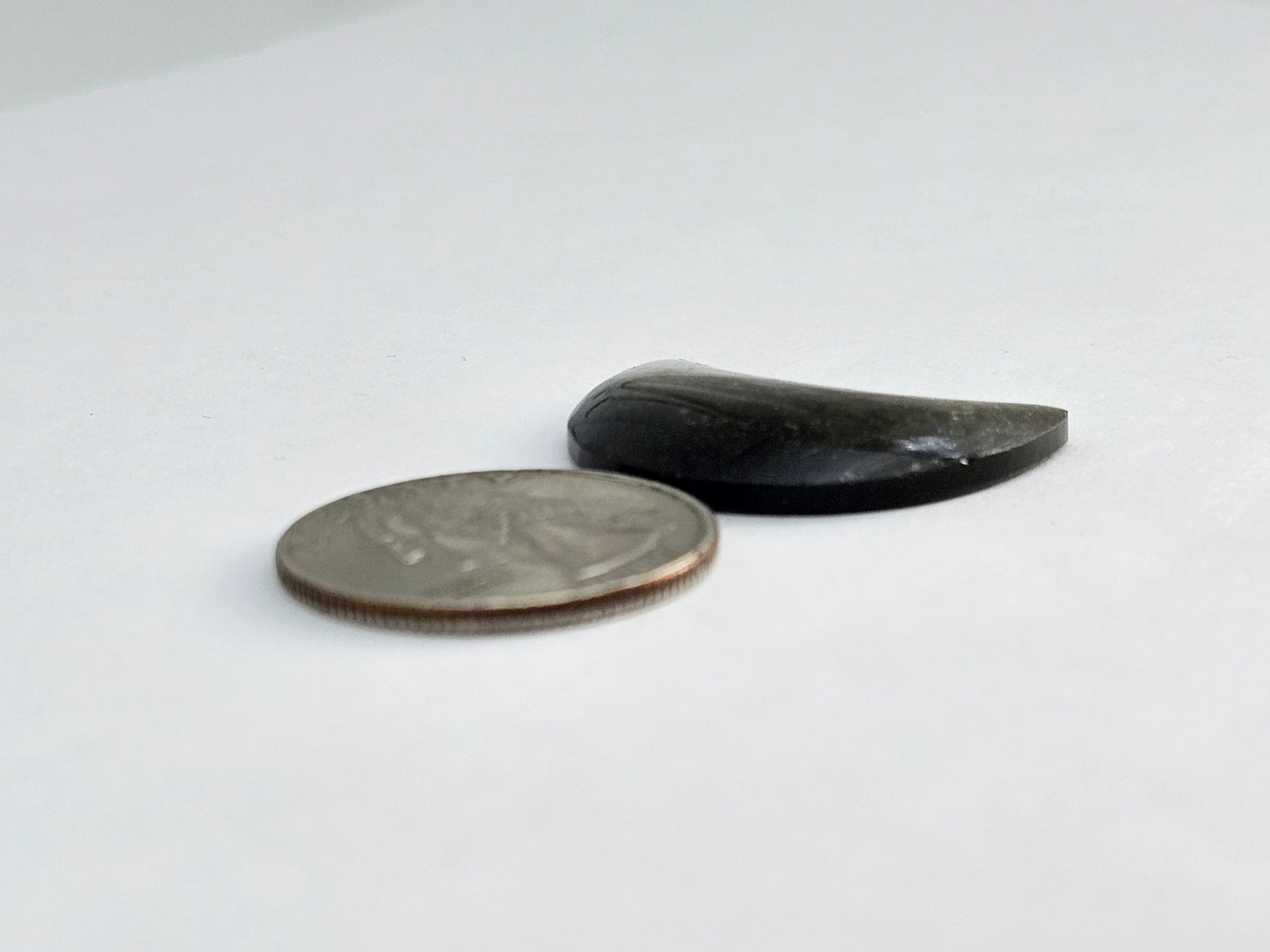 Golden Obsidian Moon Cabochon