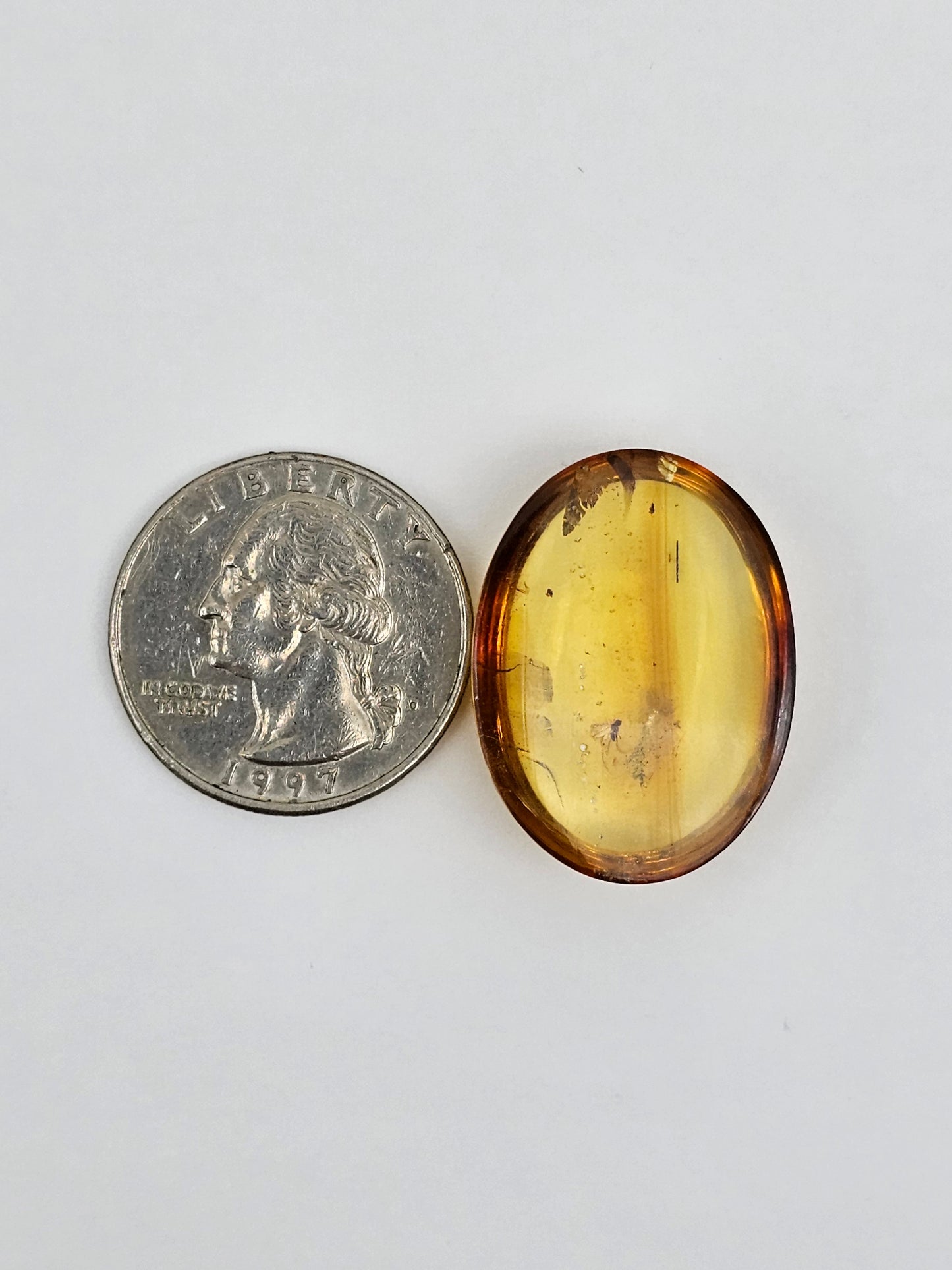 Real amber with insect inclusion