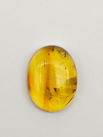 Real amber with insect inclusion