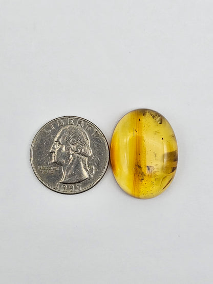 Real amber with insect inclusion