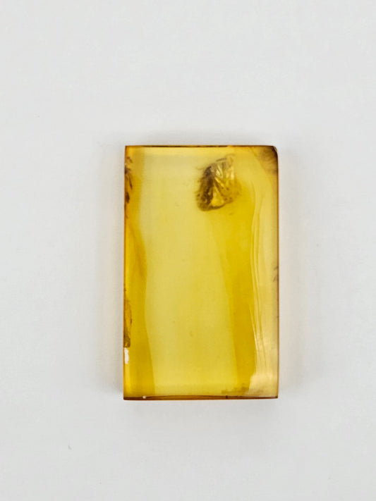 Amber Authentic Cabochon with Bug Inclusion