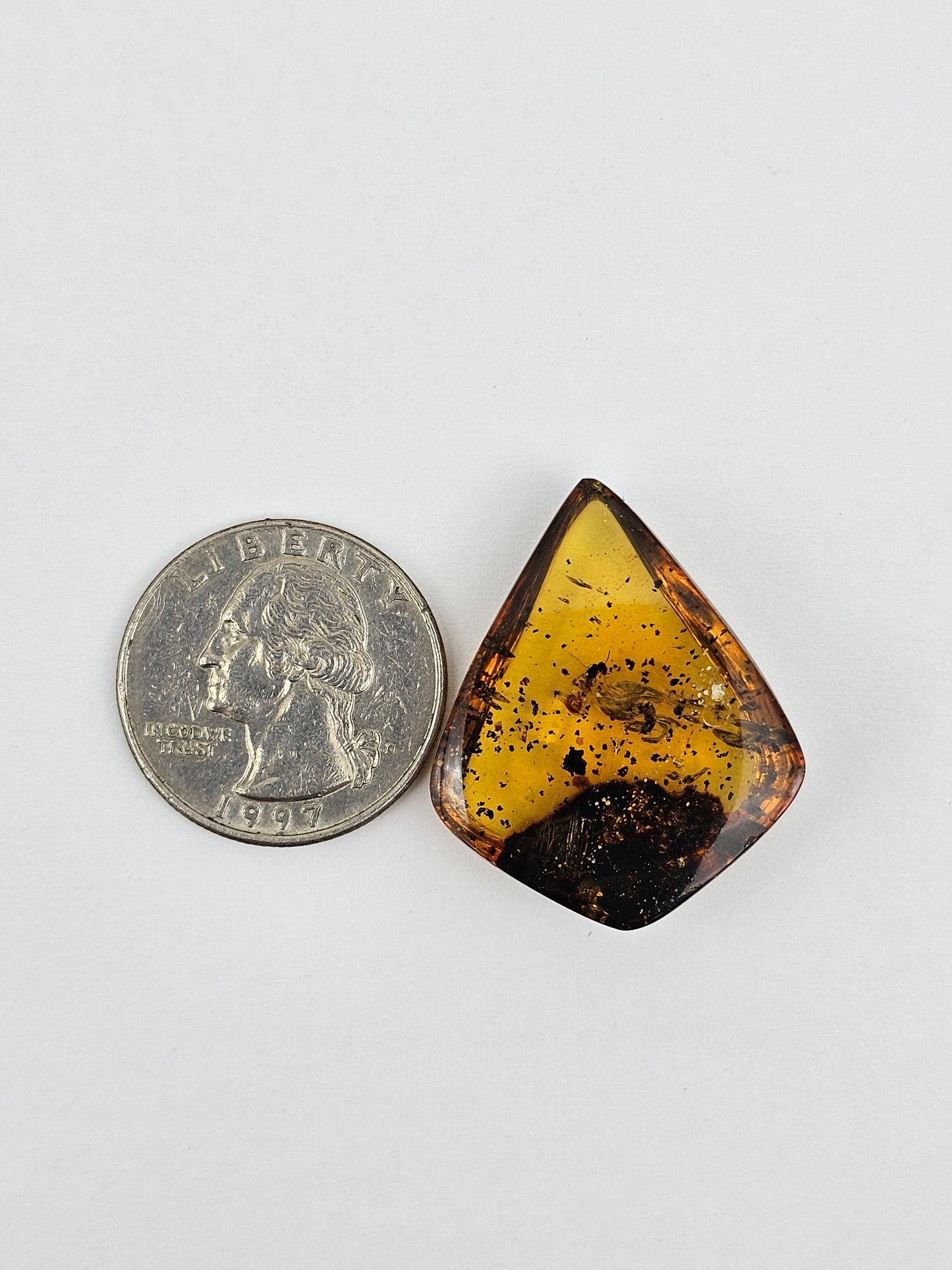 Amber Authentic Cabochon with Bug Inclusion