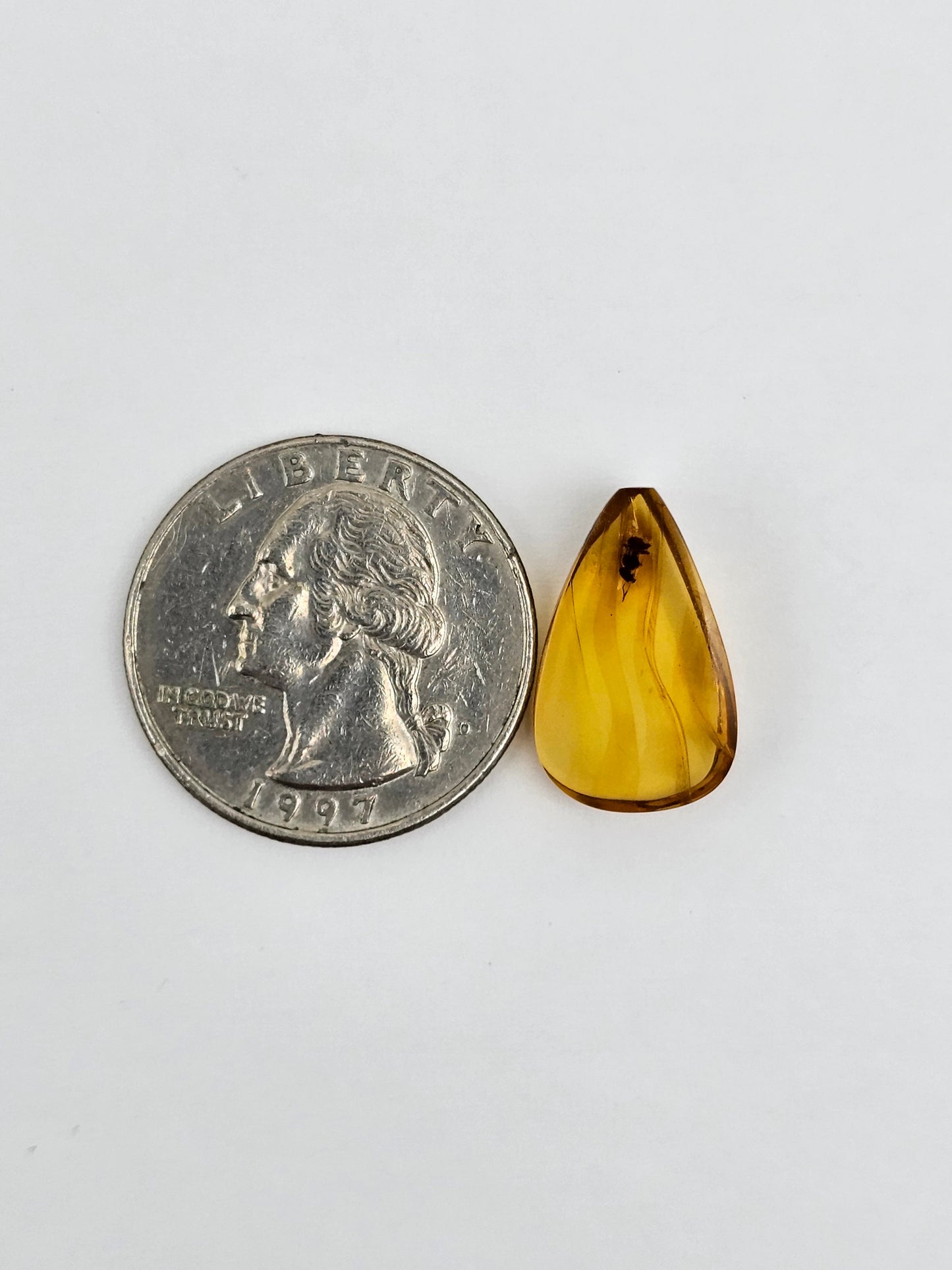 Amber Authentic Cabochon with Bug Inclusion