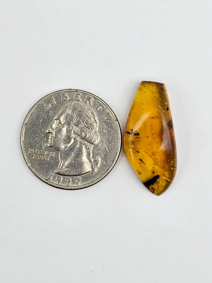 Amber Authentic Cabochon with Bug Inclusion