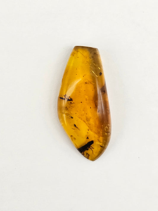 Amber Authentic Cabochon with Bug Inclusion