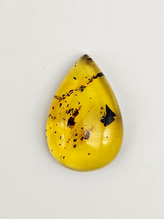 Amber Authentic Cabochon with Bug Inclusion