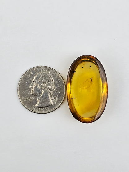 Real amber with insect inclusion