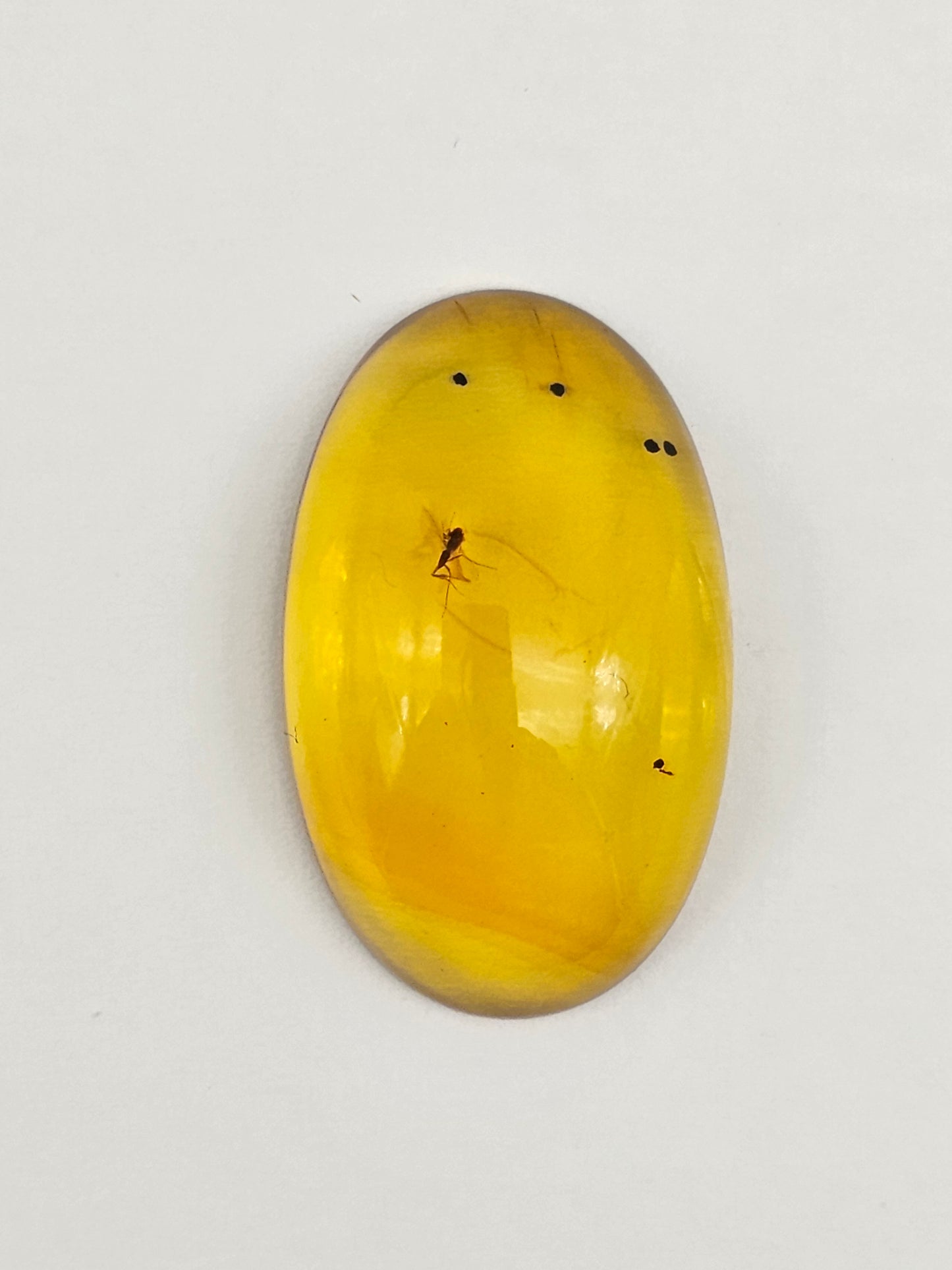 Real amber with insect inclusion