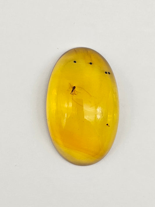 Amber Authentic Cabochon with Bug Inclusion