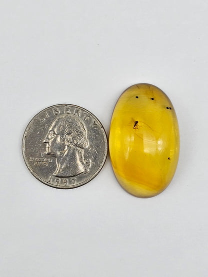Real amber with insect inclusion