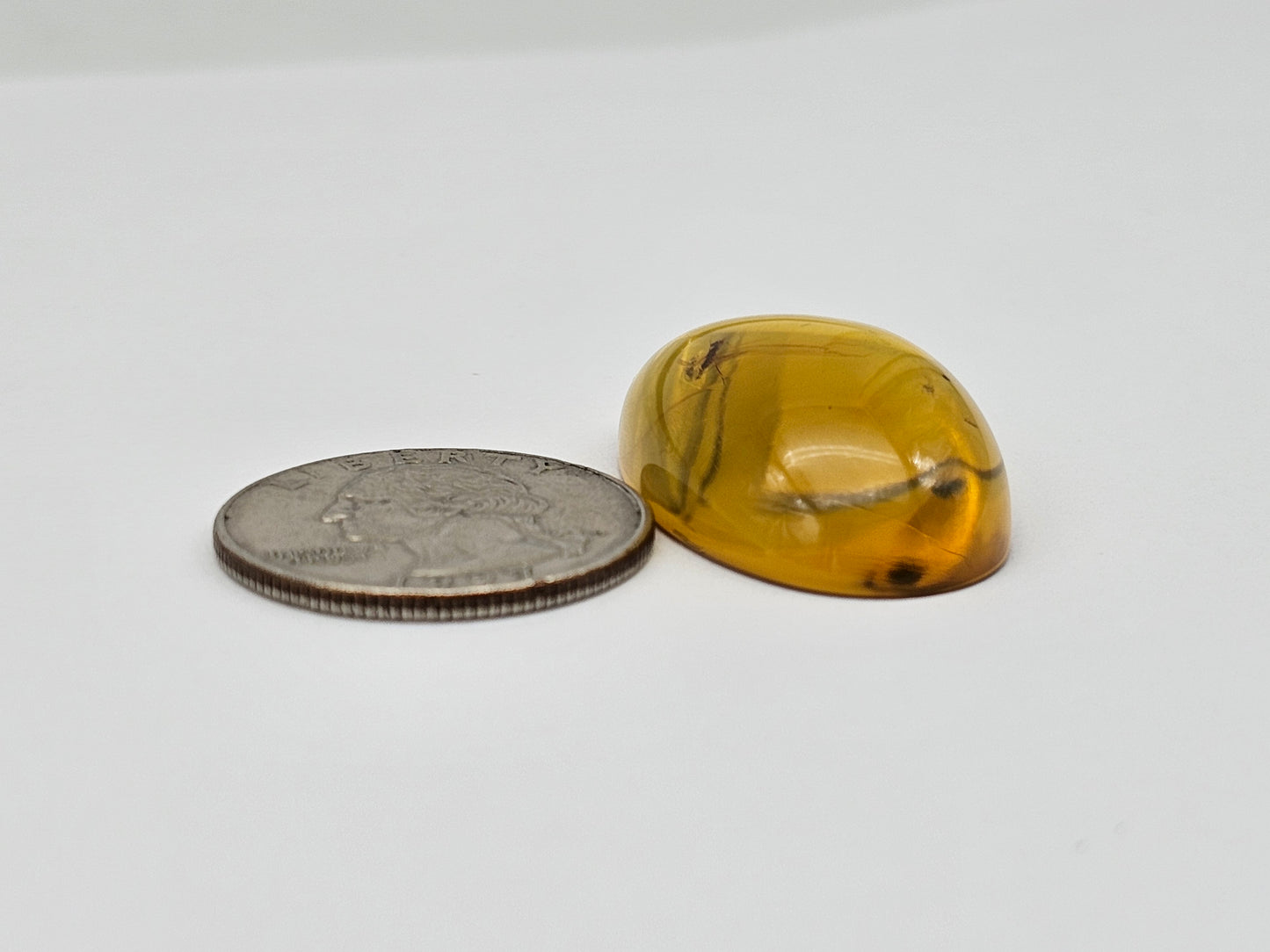 Real amber with insect inclusion