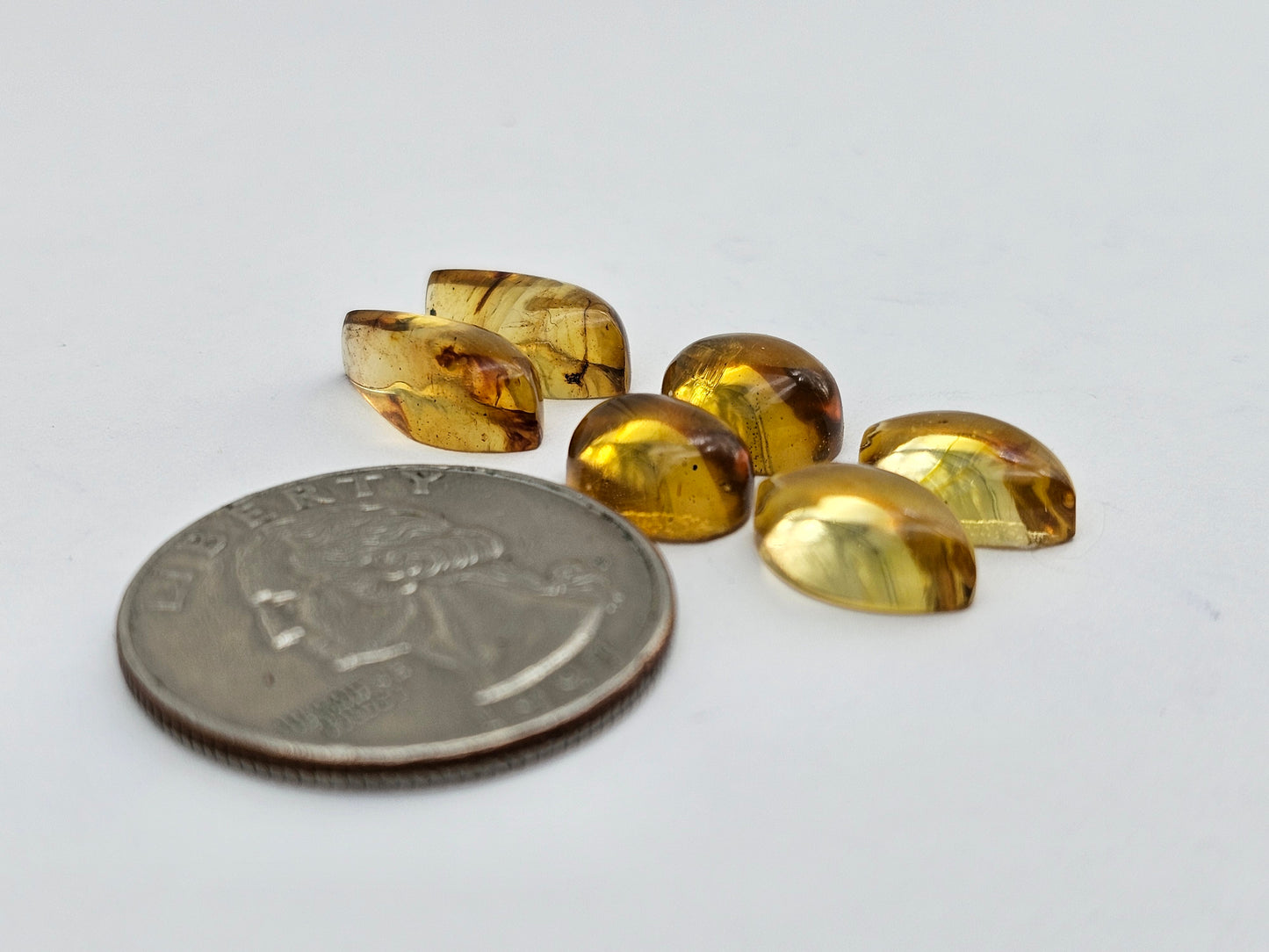 Amber authentic cabochon pair lot