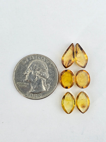 Amber authentic cabochon pair lot