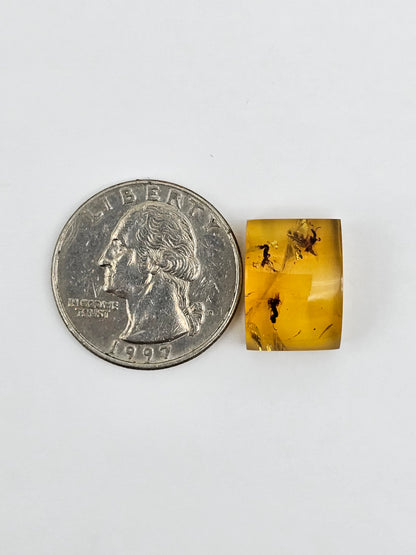 Real amber with insect inclusion