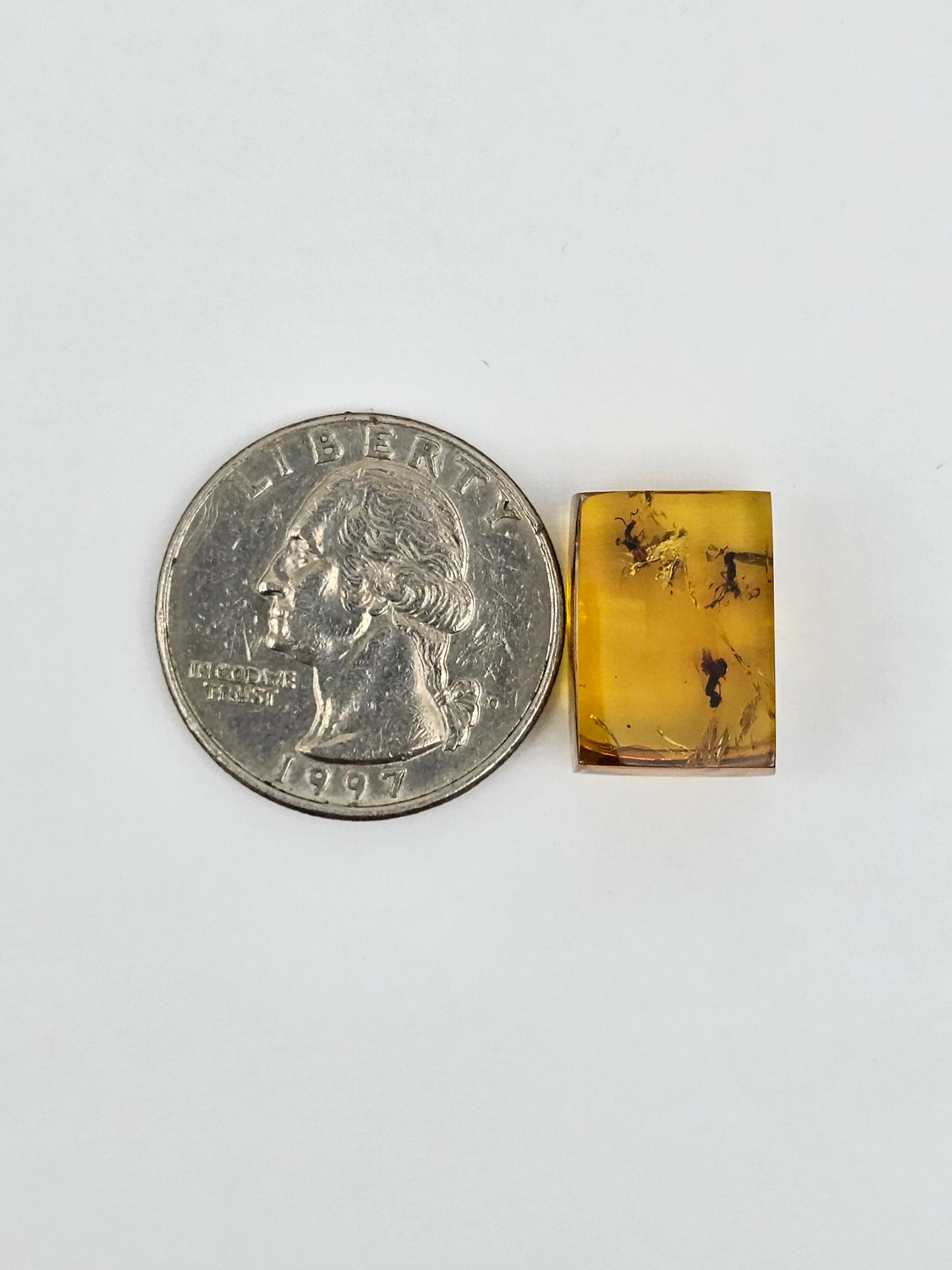Real amber with insect inclusion