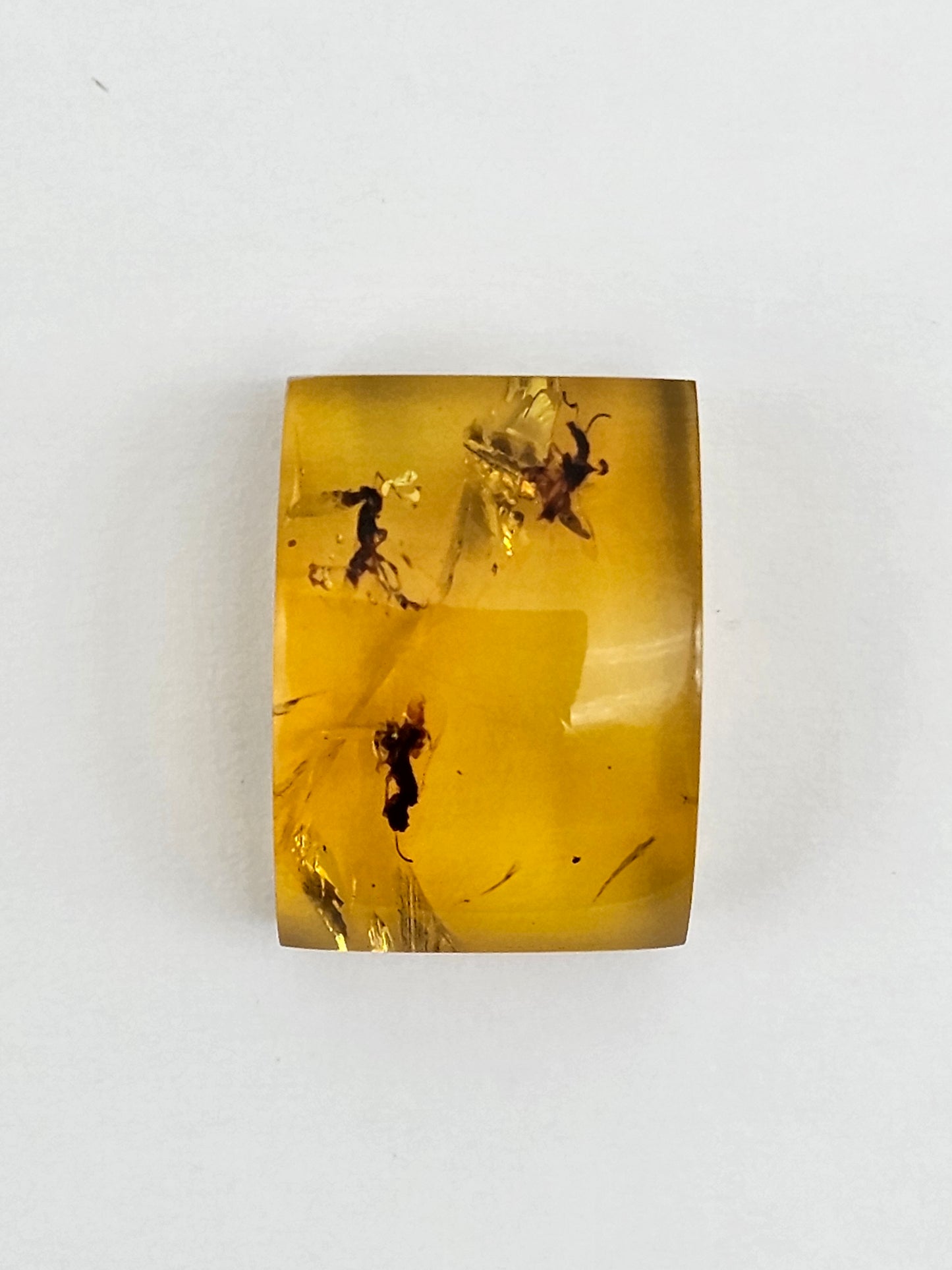 Real amber with insect inclusion