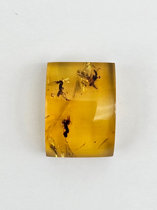 Amber Authentic Cabochon with Bug Inclusion