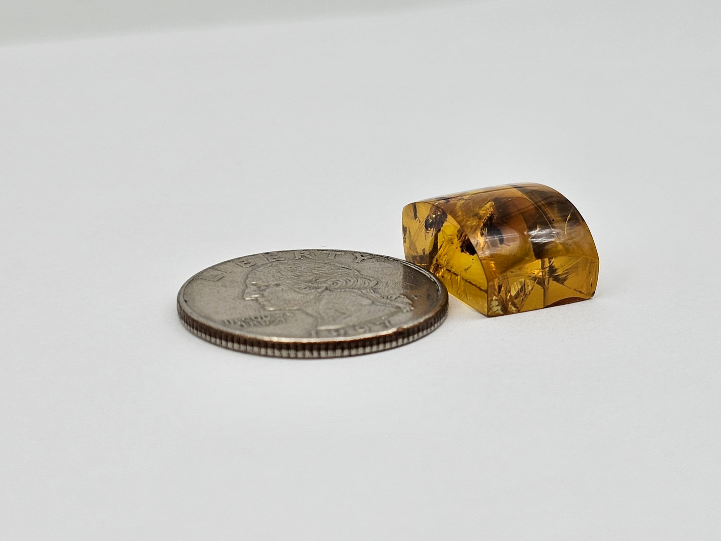 Real amber with insect inclusion