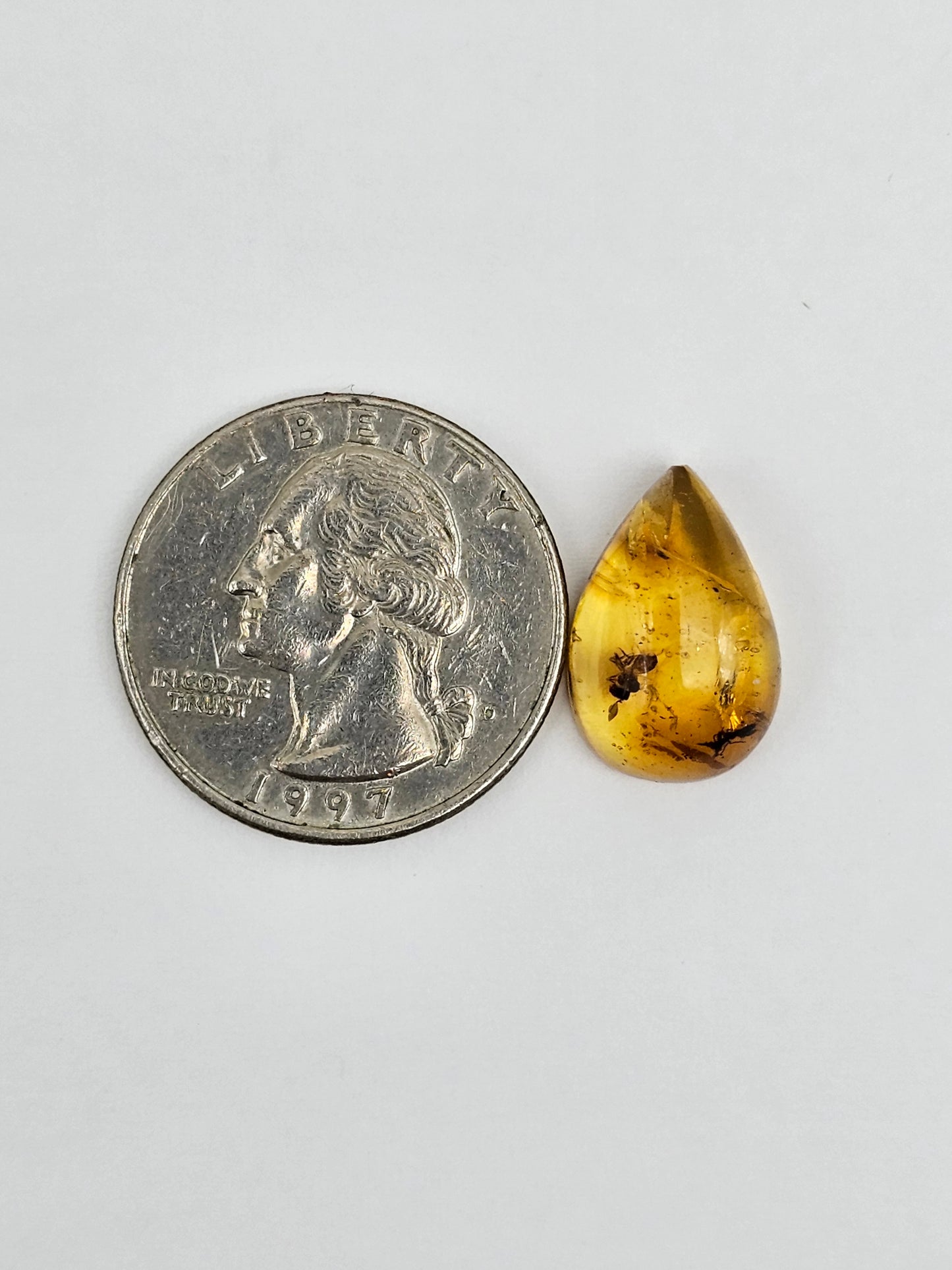 Amber Authentic Cabochon with Bug Inclusion
