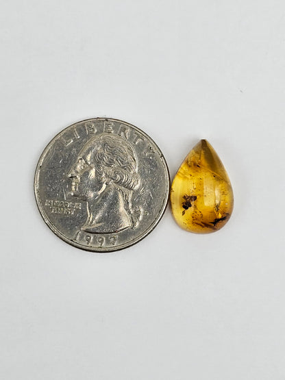 Amber Authentic Cabochon with Bug Inclusion