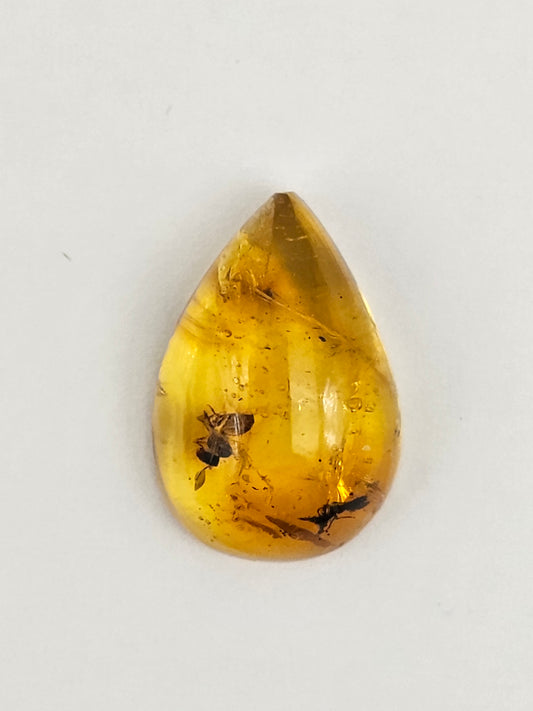Amber Authentic Cabochon with Bug Inclusion
