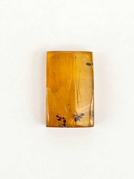 Amber Authentic Cabochon with Bug Inclusion