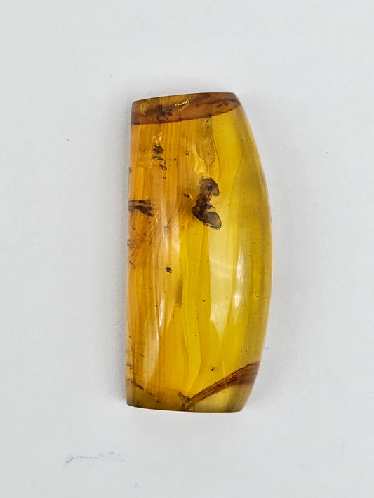 Amber Authentic Cabochon with Bug Inclusion