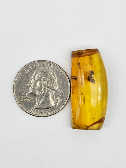 Real amber with insect inclusion