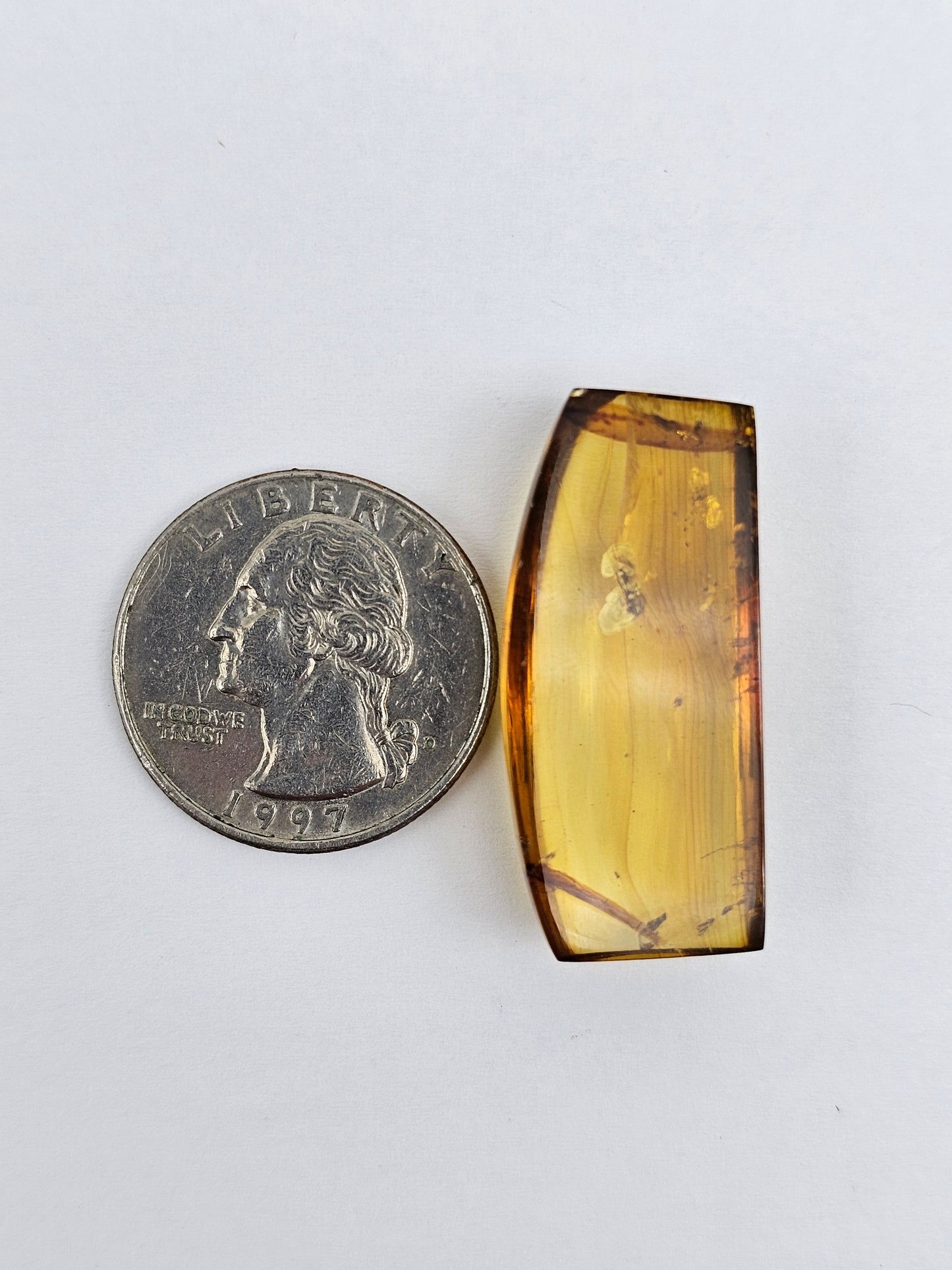 Real amber with insect inclusion