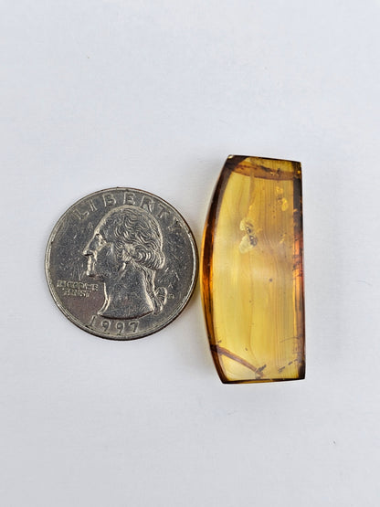 Real amber with insect inclusion