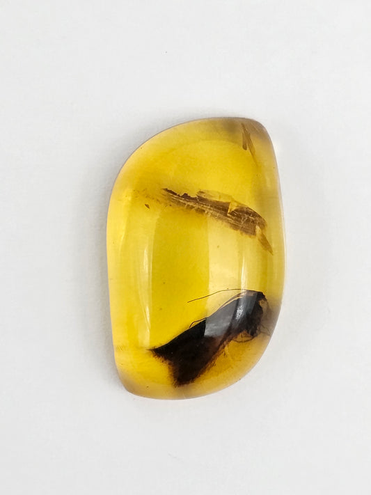 Amber Authentic Cabochon with Bug Inclusion