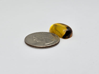 Amber Authentic Cabochon with Bug Inclusion
