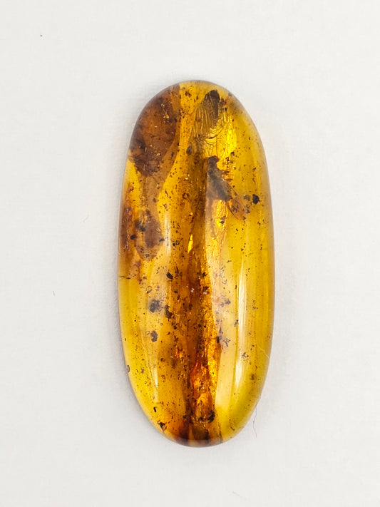 Amber Authentic Cabochon with Bug Inclusion