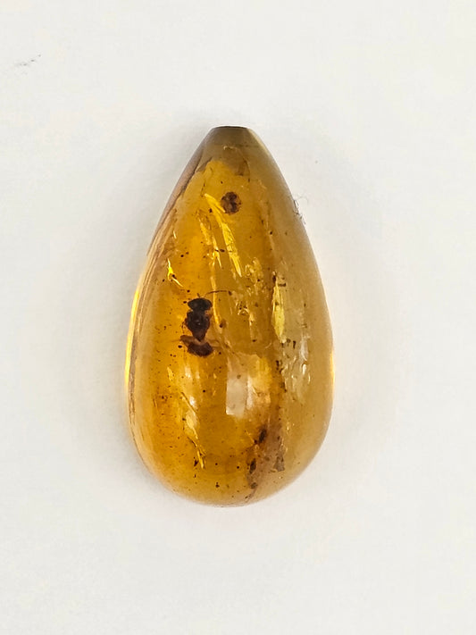 Amber Authentic Cabochon with Bug Inclusion