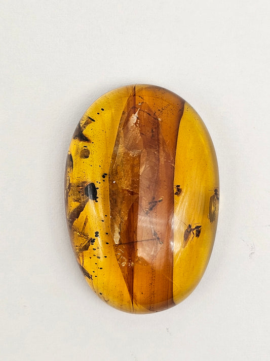 Amber Authentic Cabochon with Bug Inclusion