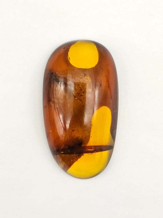 Amber Authentic Cabochon with Bug Inclusion