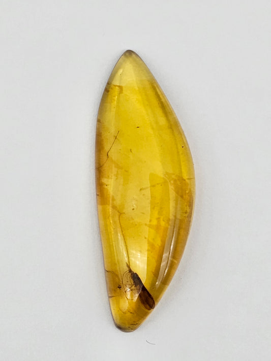 Amber Authentic Cabochon with Bug Inclusion