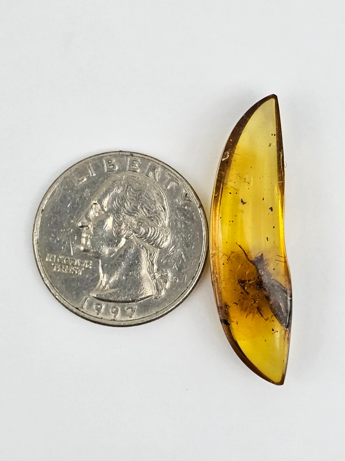 Amber Authentic Cabochon with Bug Inclusion