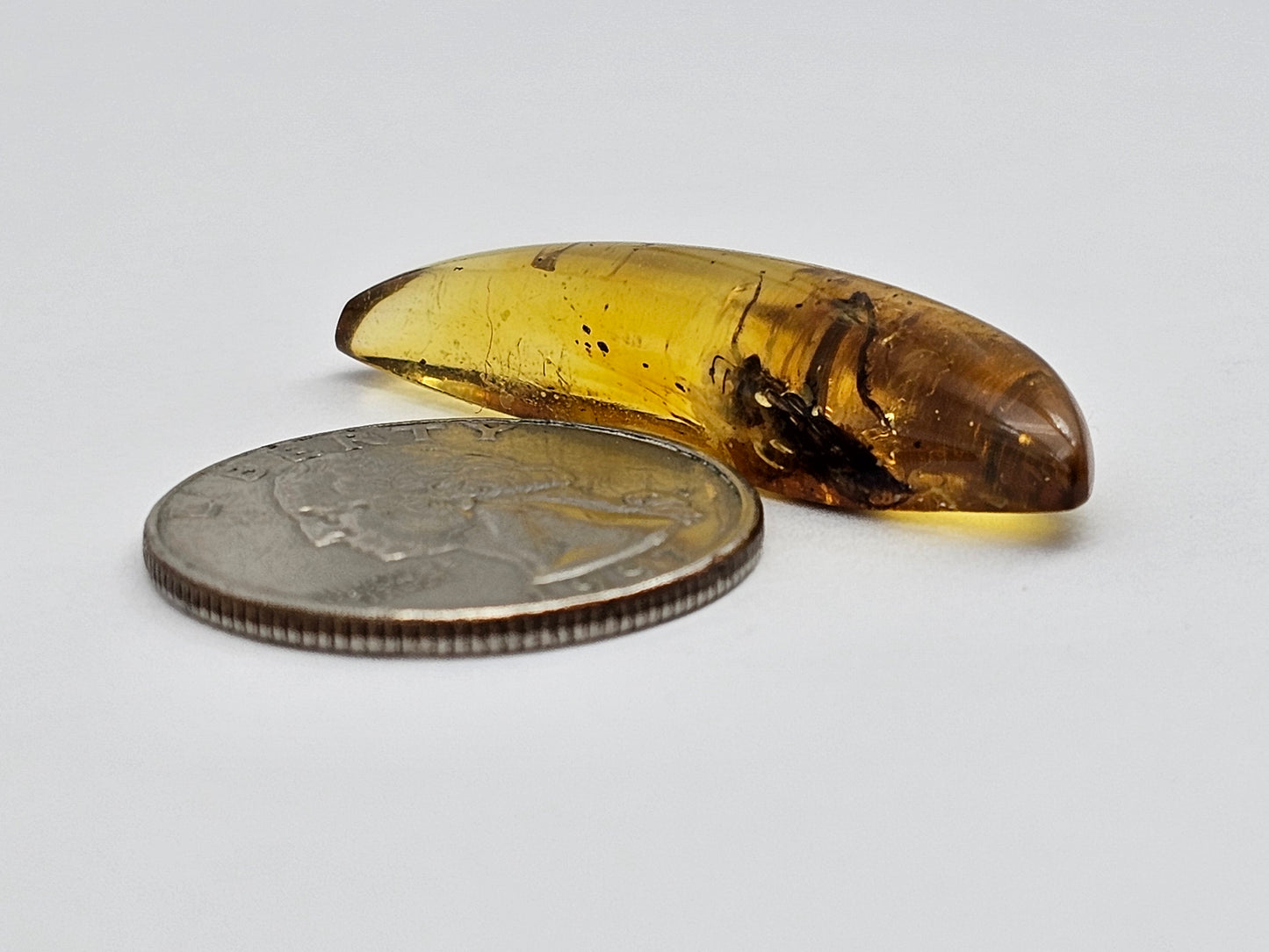 Amber Authentic Cabochon with Bug Inclusion