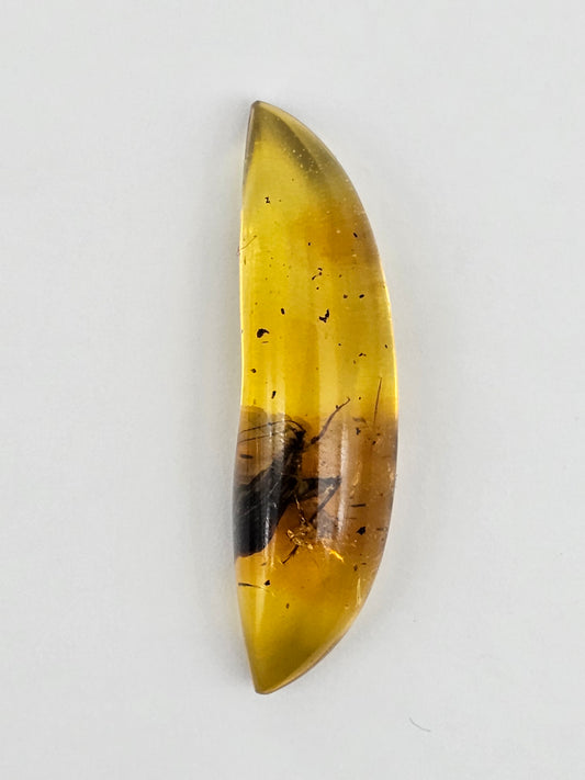 Amber Authentic Cabochon with Bug Inclusion