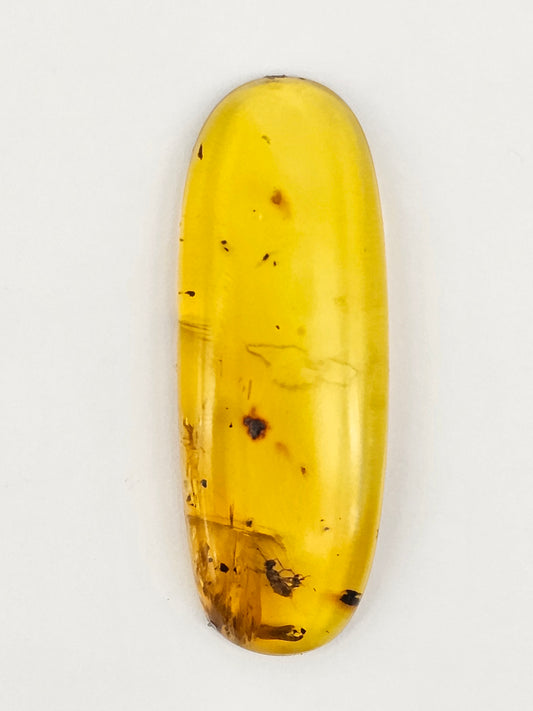 Amber Authentic Cabochon with Bug Inclusion