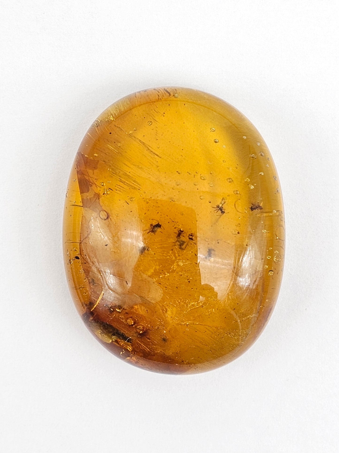 Real amber with insect inclusion