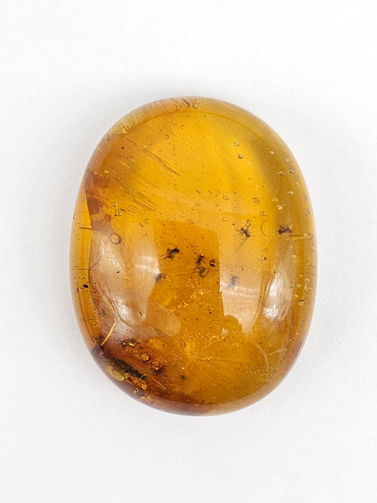 Amber Authentic Cabochon with Bug Inclusion