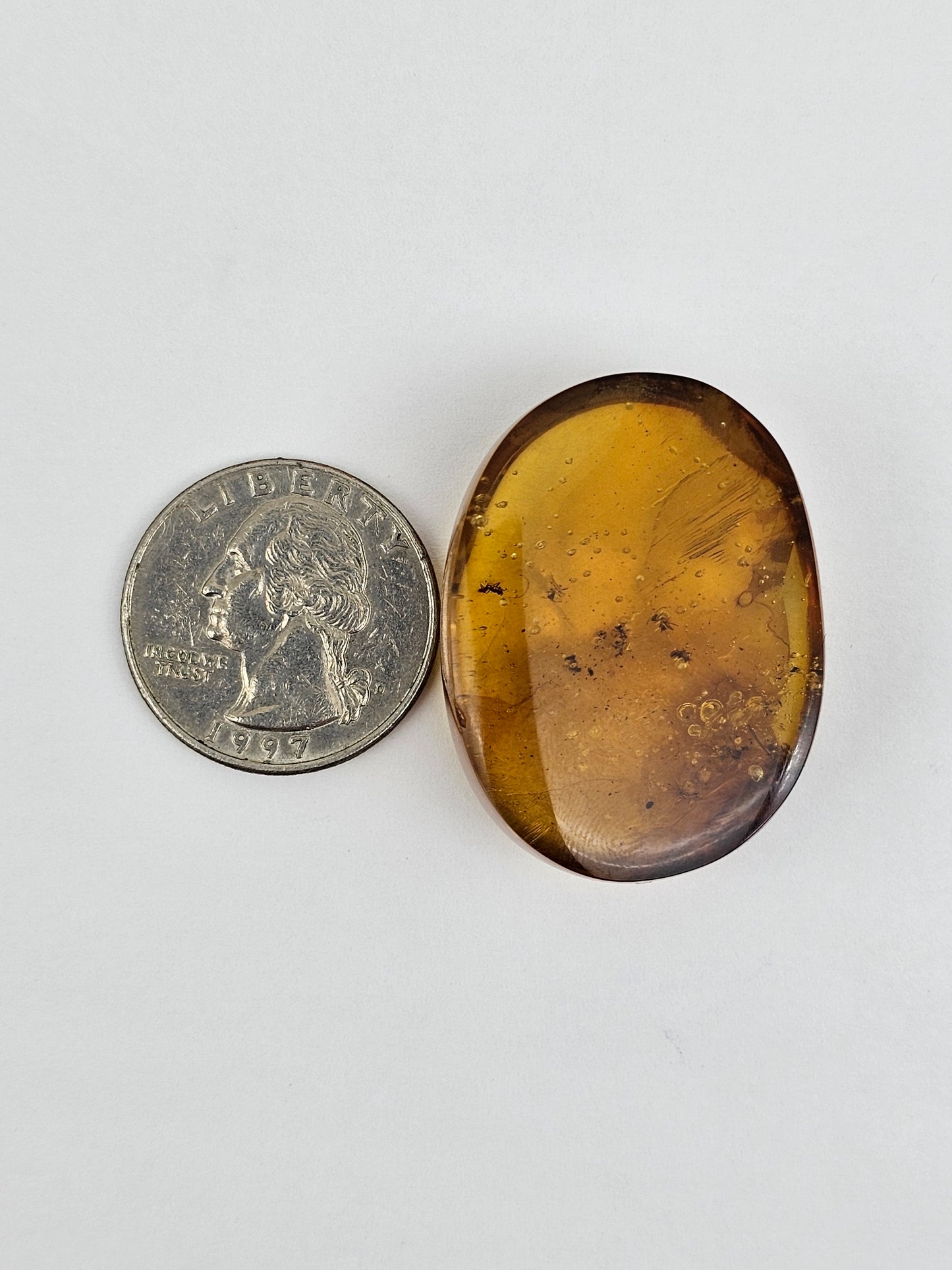Real amber with insect inclusion