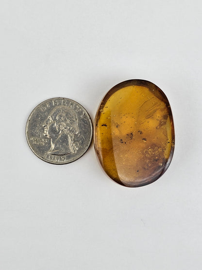 Real amber with insect inclusion