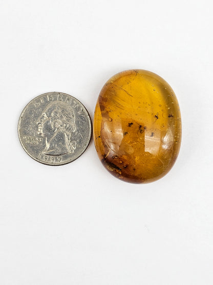 Real amber with insect inclusion